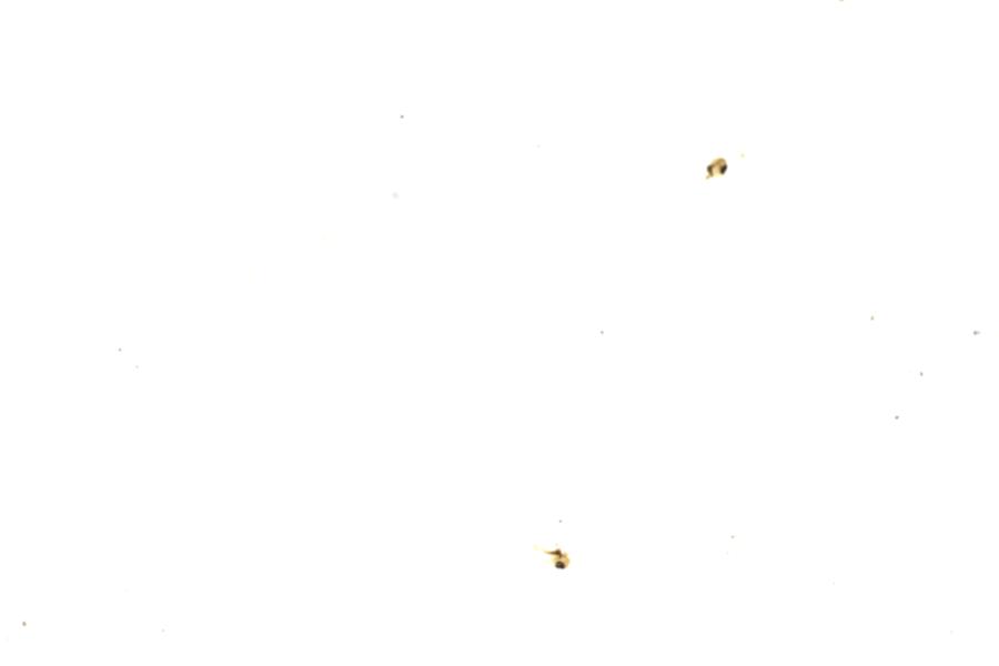 Image 45